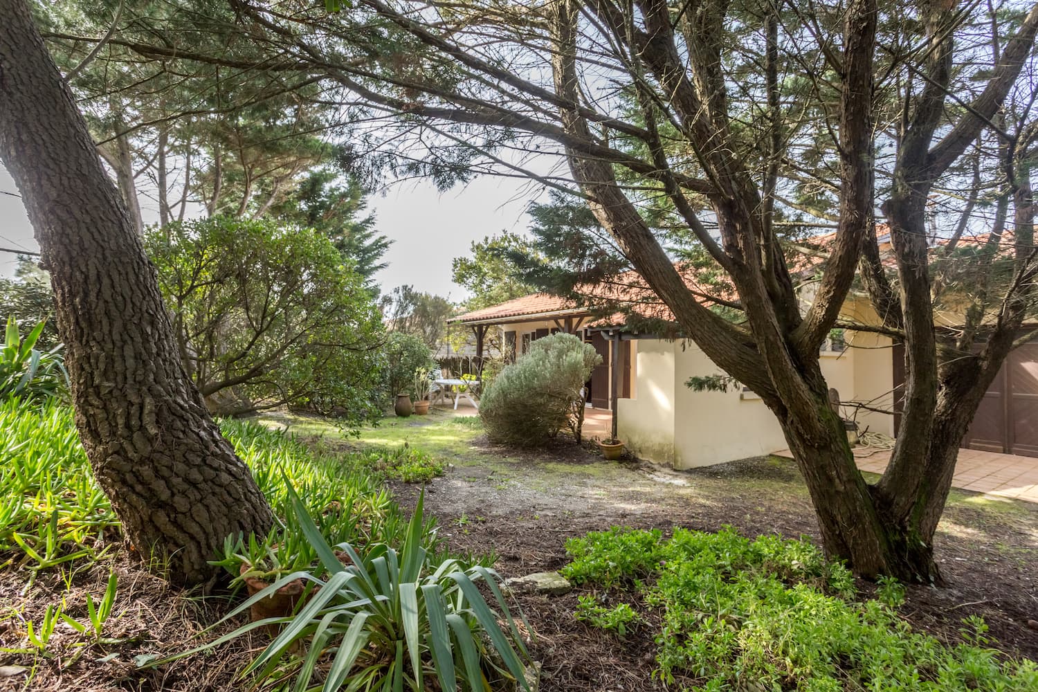 LÈGE-CAP-FERRET, Maison avec Jardin et Dépendance